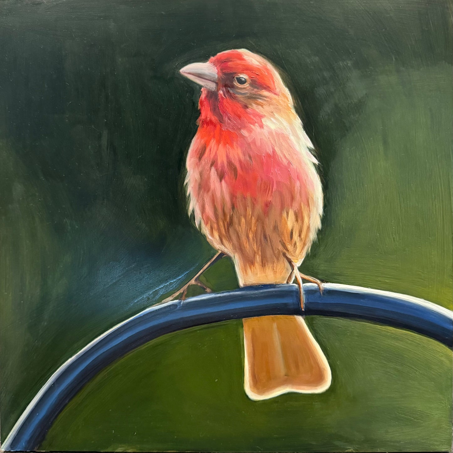 Bird Series - Prints Only