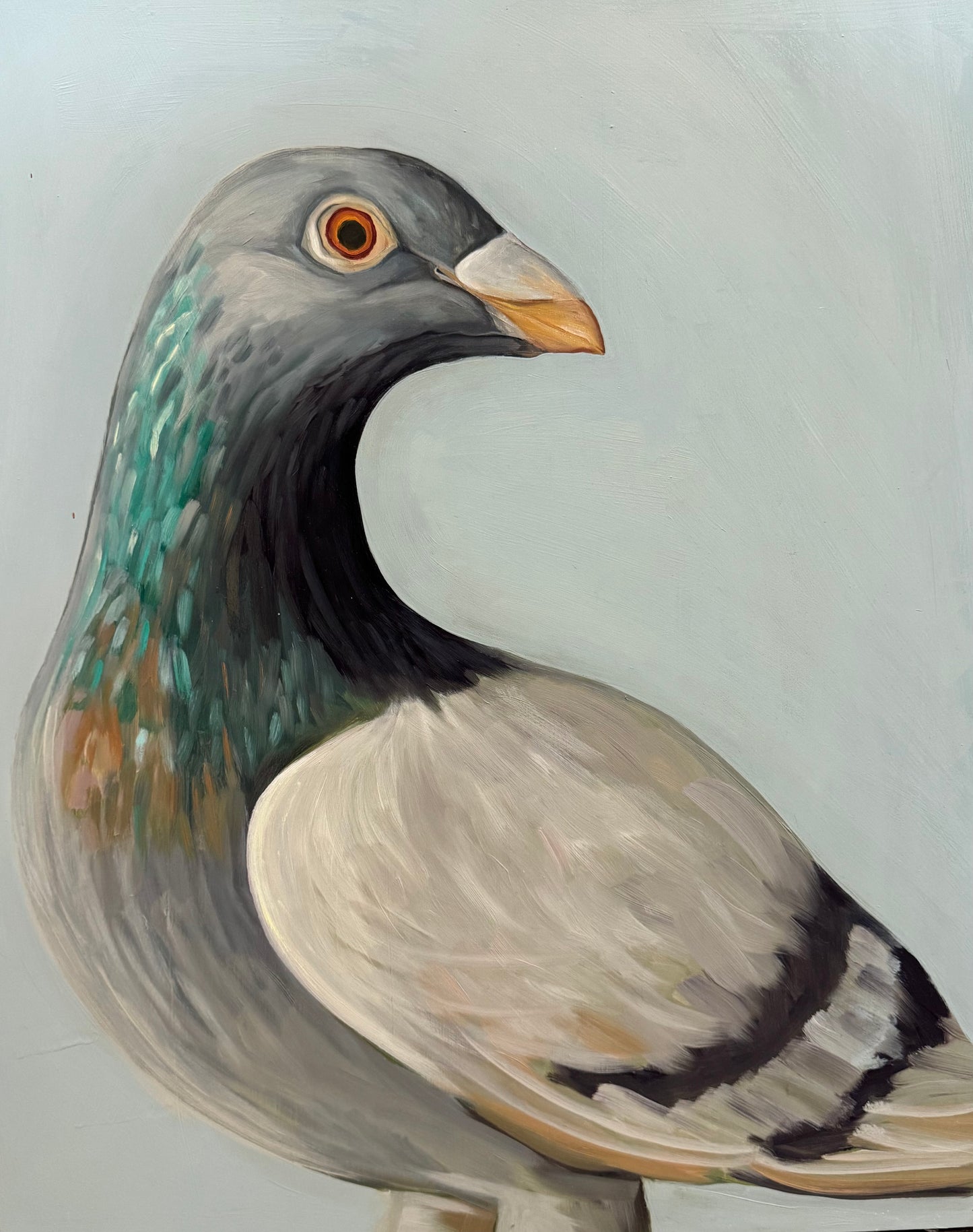 Bird Series - Prints Only
